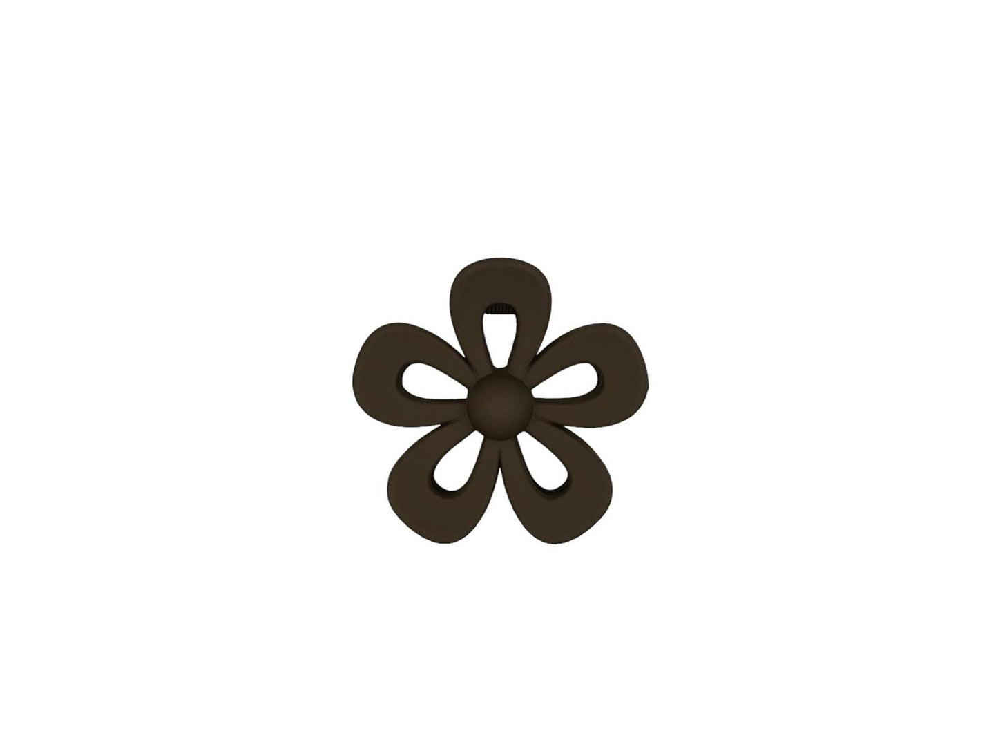 Haarklem - haarklauw - open bloem - flower - bruin